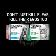FRONTLINE Plus Flea & Tick Treatment for Cats and Ferrets - 1/3/6 Pipettes