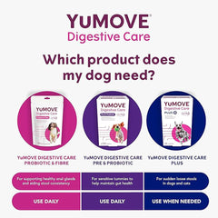YuMOVE Digestive Care, Dog Pre and Probiotics Supplement for Gut Health, Digestive Support for All Ages and Breeds, 120 Tablets - Eco Friendly and Letter Box Ready Packaging