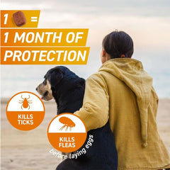 FRONTPRO Chewable Tablets Flea & Tick Treatment for Dogs 1 Tablet Pack