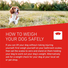 FRONTLINE WORMER - Dog Worming Treatment - 2 Tablets