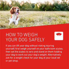 FRONTLINE WORMER - Dog Worming Treatment - 2 Tablets
