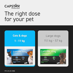 Capstar Flea Tablets, Fast Acting Flea Treatment For Cats & Small Dogs (1kg - 11kg) , 1 x 11.4 mg Tablet , 6 x 11.4 mg Tablet , Starts Working In 15-30 Mins, Kills Adult Fleas In 6 Hours, Fuss Free Edible Tablets