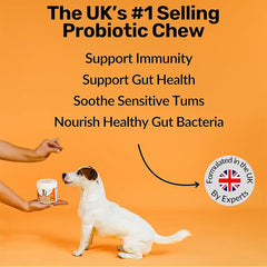 NutriPaw Pre, Pro & Postbiotic Digestive Treats For Dogs - Gut Health, Sensitive Tums, Anal Glands, Scooting, Loose Stools, Smelly, Itchy Ears, Great for all dogs