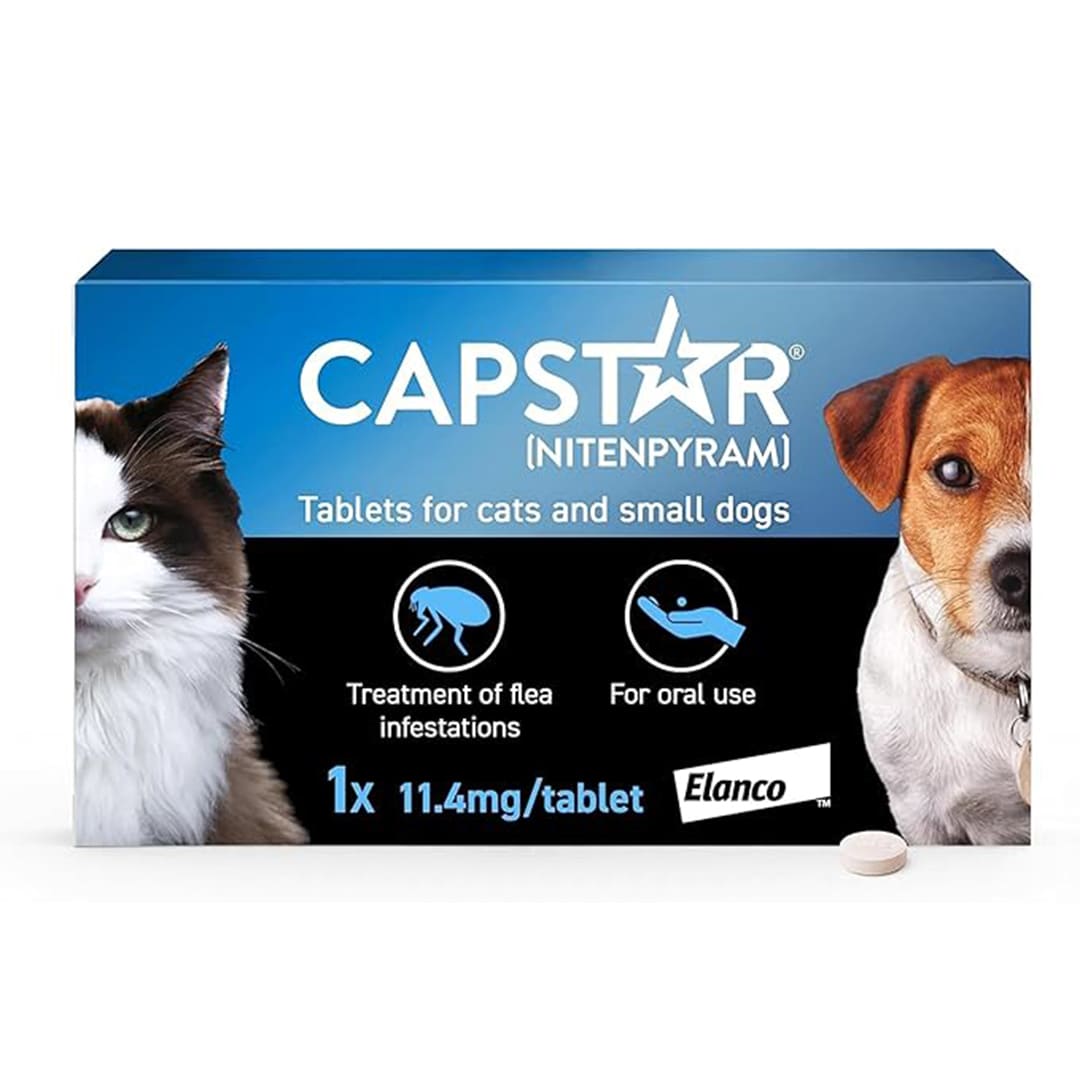 Capstar Flea Tablets, Fast Acting Flea Treatment For Cats & Small Dogs (1kg - 11kg) , 1 x 11.4 mg Tablet , 6 x 11.4 mg Tablet , Starts Working In 15-30 Mins, Kills Adult Fleas In 6 Hours, Fuss Free Edible Tablets