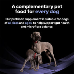 PRO PLAN Fortiflora Probiotic Dog Supplements 30x1g