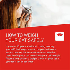 FRONTLINE WORMER - Cat Worming Treatment - 2 Tablets