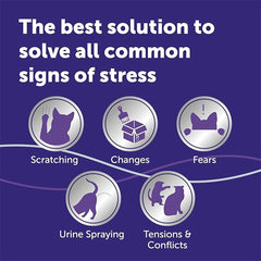 Feliway Optimum 30 Day Cat Calming Odourless Plug-In Pheromone Diffuser Starter Kit, 48ml - Helps Solve Signs of Stress in Cats and Kittens, Veterinary Recommended, Drug-Free, Clinically Proven