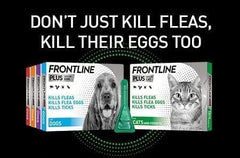 Frontline Plus For Dogs 10-20kg ( 1.34ml )- 1 Pipette, Flea And Tick Treatment For Dogs, Frontline Flea Treatment For Dogs, Frontline Spot On For Dogs, Frontline For Dogs
