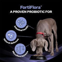 PRO PLAN Fortiflora Probiotic Dog Supplements 30x1g