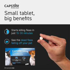 Capstar Flea Tablets, Fast Acting Flea Treatment For Medium To Large Dogs (11.5kg - 57kg), 6 x 57 mg Tablet, Starts Working In 15-30 Mins, Kills Adult Fleas In 6 Hours, Fuss Free Edible Tablets