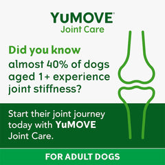 YuMOVE Joint Supplement for Dogs, Higher Strength for Joint Care, Essential Dog Hip and Joint Support for Adult Dogs Aged 6 to 8, 120 Tablets - Eco Friendly and Letter Box Ready Packaging
