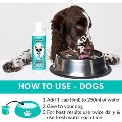 NutriPaw Dental Formula Water Additive For Dogs & Cats - Clean Teeth, Healthy Gums & Fresh Breath - Manage Plaque & Tartar Build-Up - Fuss-Free - No Brushing Needed - Cat/Dog Mouthwash & Oral Health