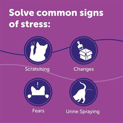 FELIWAY Classic 30 Day Cat Calming Plug In Pheromone Diffuser Starter Kit, 48ml - Helps Solve Common Signs of Stress in Cats & Kittens, Veterinary Recommended, Clinically Proven