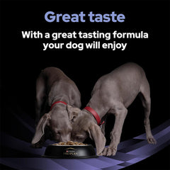 PRO PLAN Fortiflora Probiotic Dog Supplements 30x1g