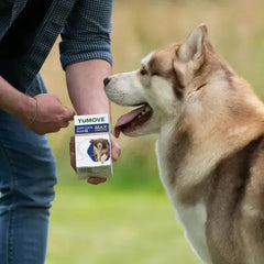 YuMOVE Joint Care Plus Max Strength for Dogs 50 Percent Stronger Joint Support (120 Tablets)